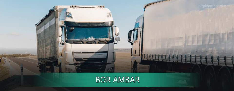 Bor Ambar